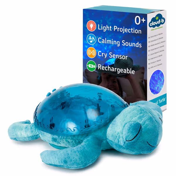 Cloud b Tranquil Turtle Aqua
